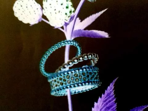 Promesas de fin año, el día después