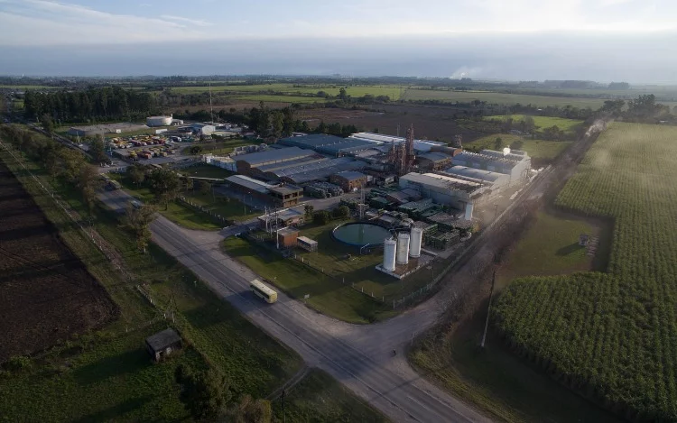 
			CP Los Olivos S.A.U., una empresa del grupo Central Puerto, operará la planta que proveerá la energía eólica por diez años a partir de 2020.