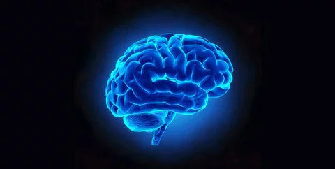 ¿Se puede medir la inteligencia?