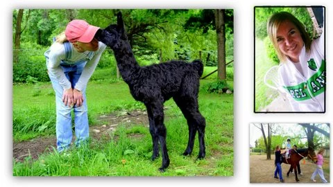 Terapias y actividades asistidas  con animales